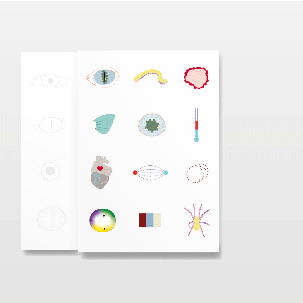 Menschen, Tiere, Hierarchien